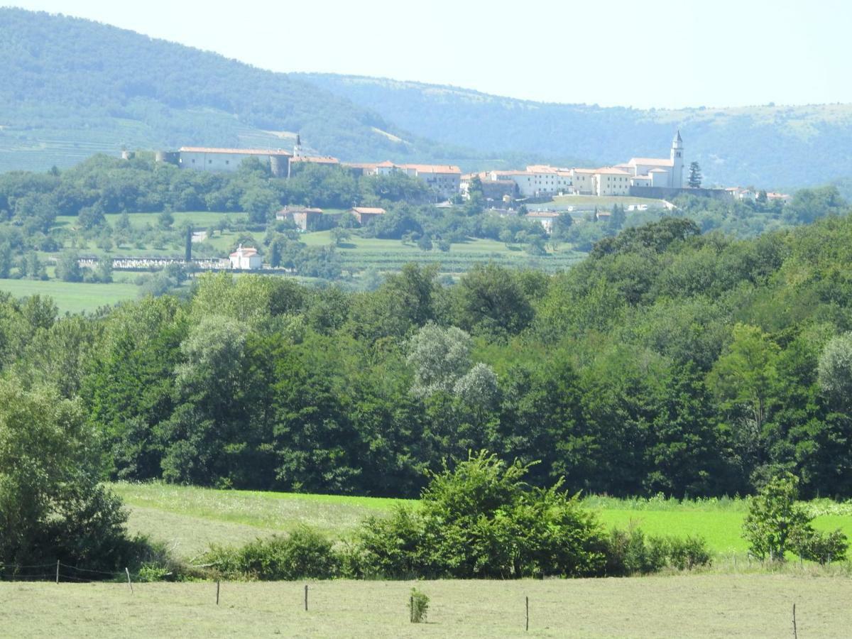 Apartament Turisticna Kmetija Pri Rebkovih Ajdovščina Zewnętrze zdjęcie