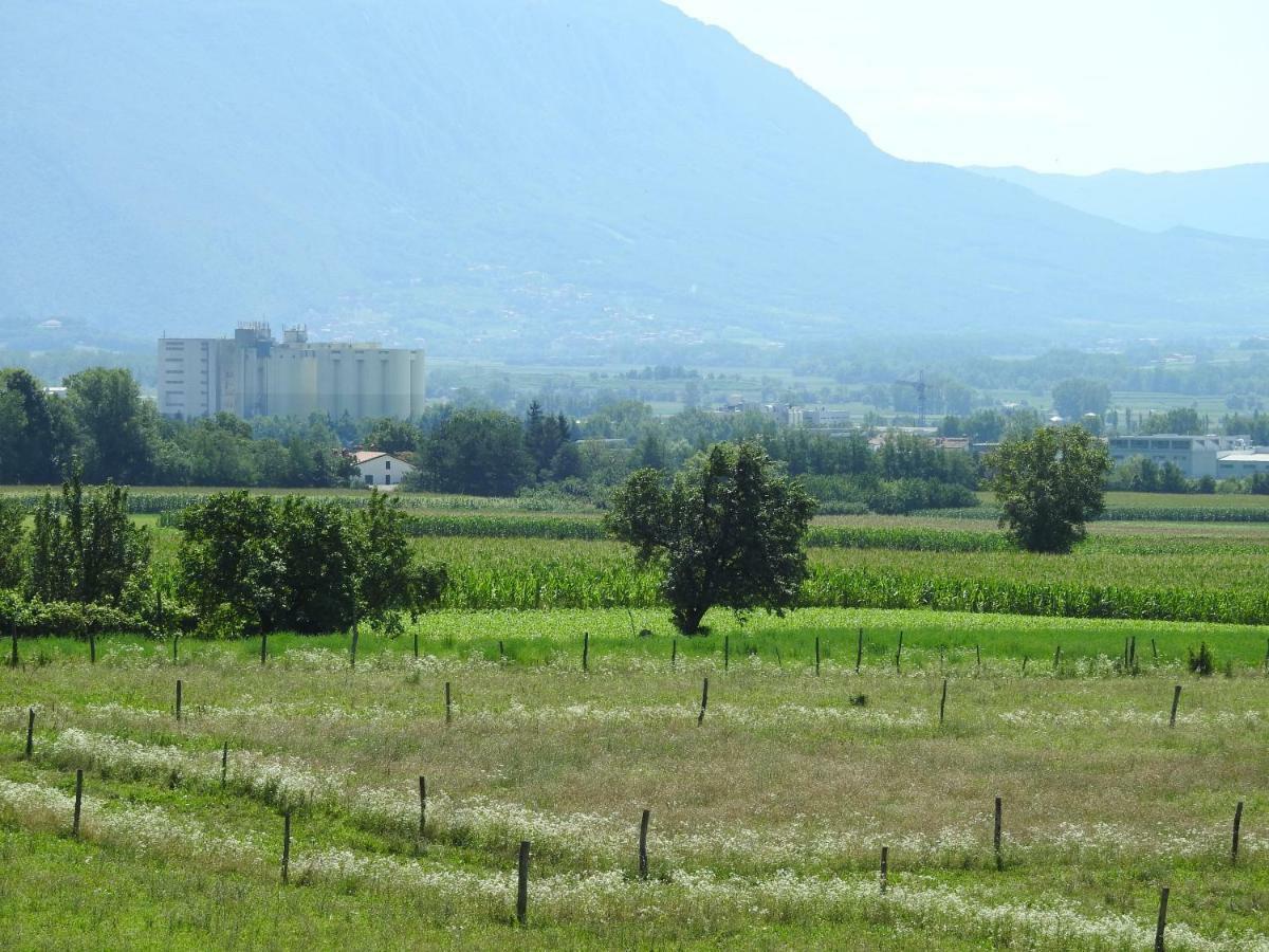 Apartament Turisticna Kmetija Pri Rebkovih Ajdovščina Zewnętrze zdjęcie
